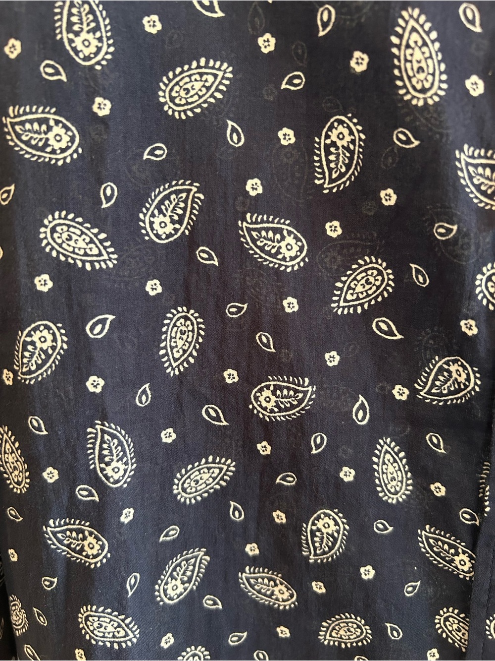 Sezane Pierro Bandana Blue Button-Down Shirt - Picture 5 of 6